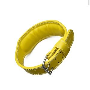 Lifting belt